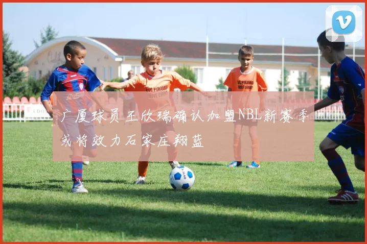 广厦球员王欣瑞确认加盟NBL新赛季或将效力石家庄翔蓝