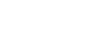 11 fleet logo